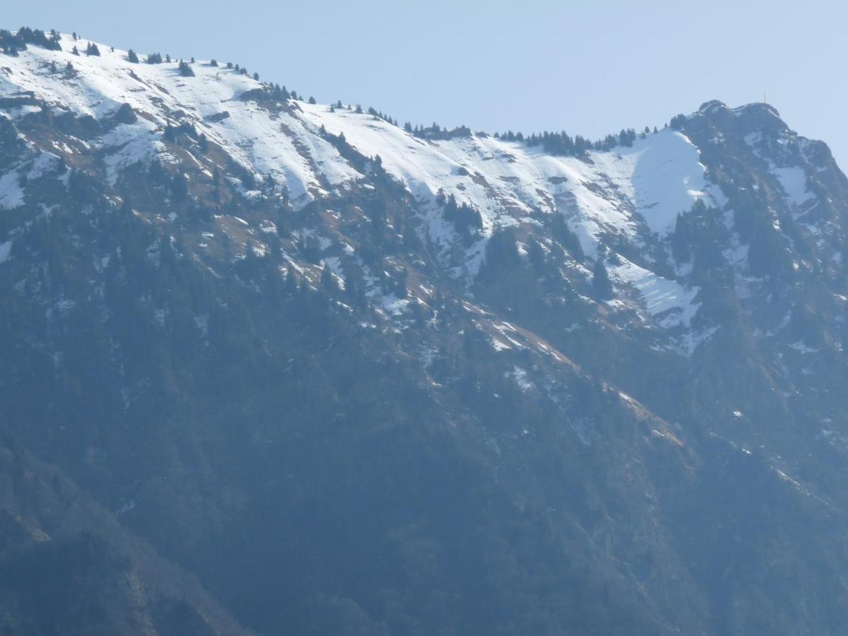 Chalet Aux 3 Biches Mieussy Dış mekan fotoğraf